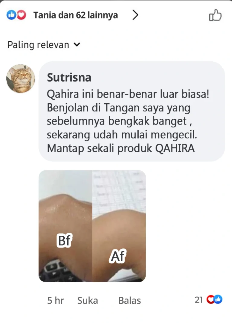 efa01f35-d85a-4e75-9dcd-0ff7c26090ae.webp